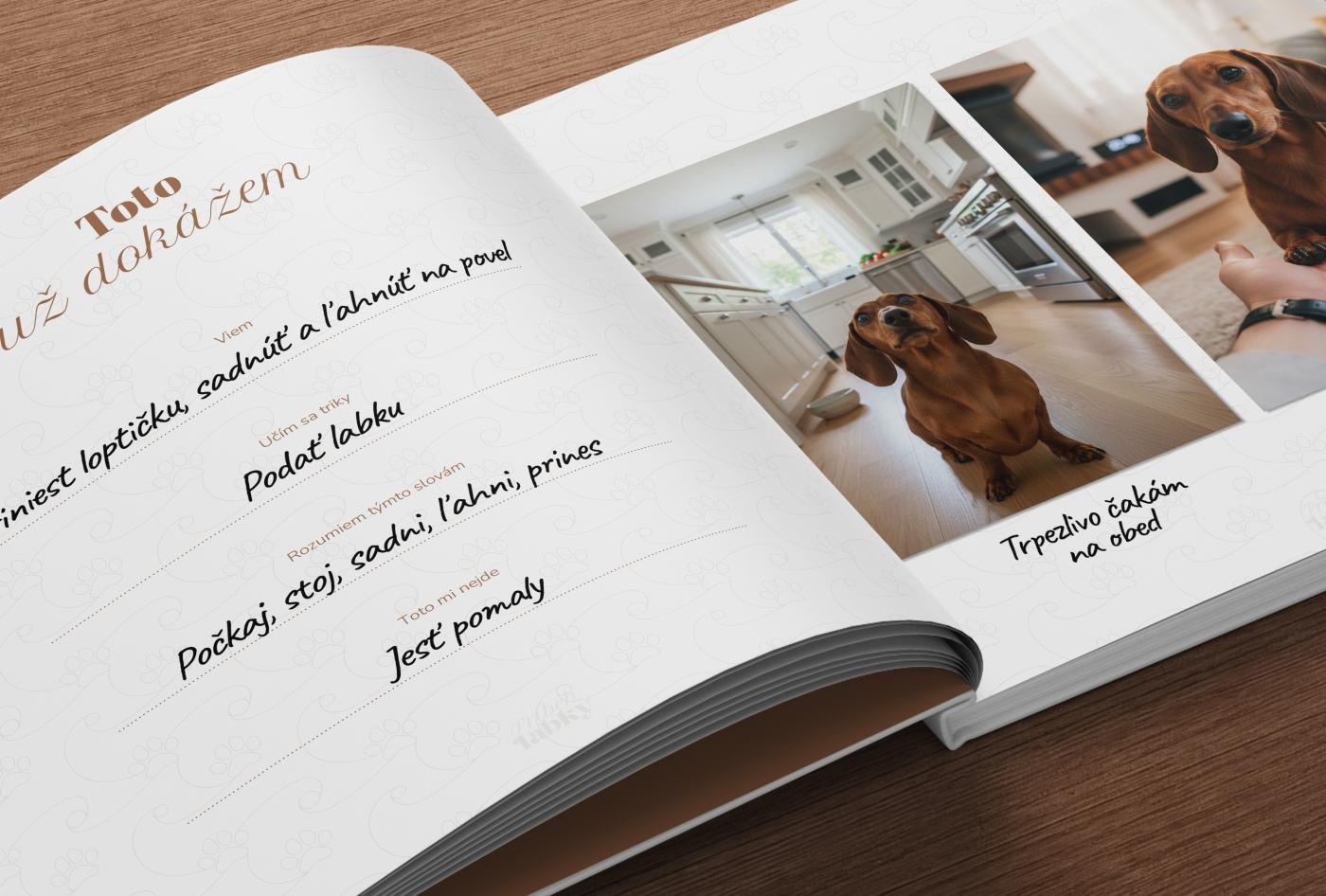 Príbeh labky - detail