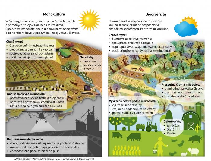 Monokultúra a biodiverzita