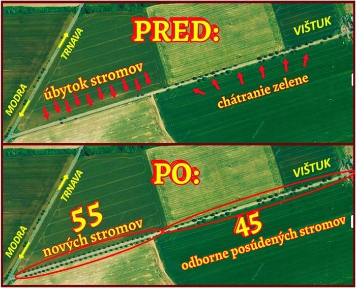 Náš plán obnovy aleje zahŕňa výsadbu nových stromov aj ošetrenie tých starých.