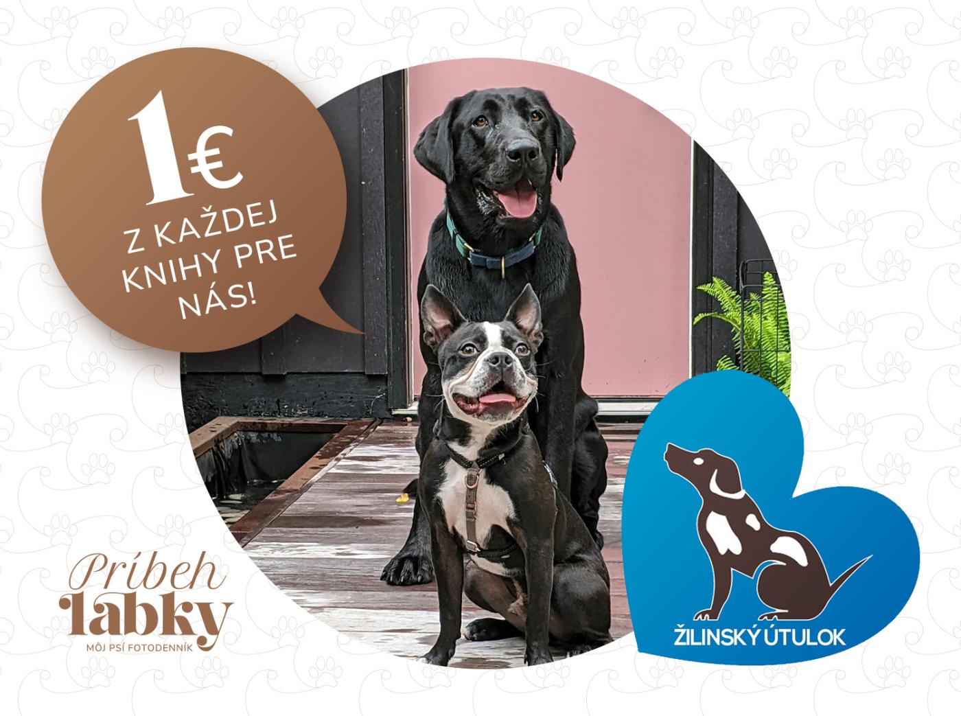 1 euro pre Žilinský útulok