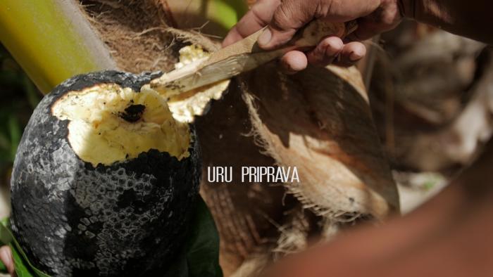 Príprava tradičného - lokálneho jedla - Uru /Chlebovník/