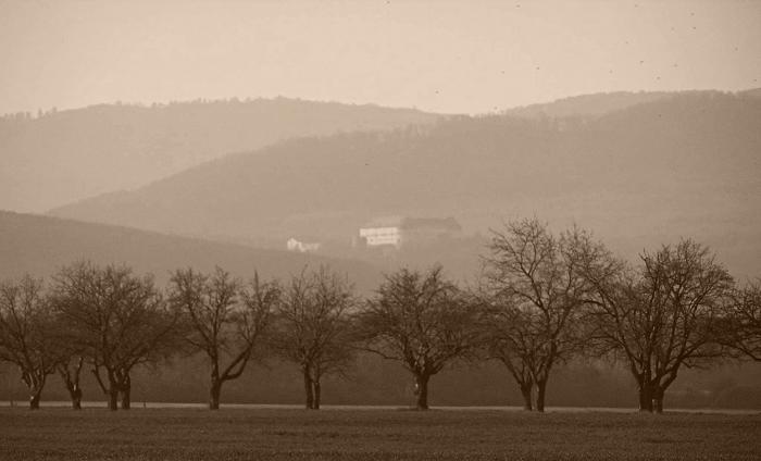 Aleja za obcou Vištuk viedla kedysi až na Červený Kameň (hrad v pozadí).