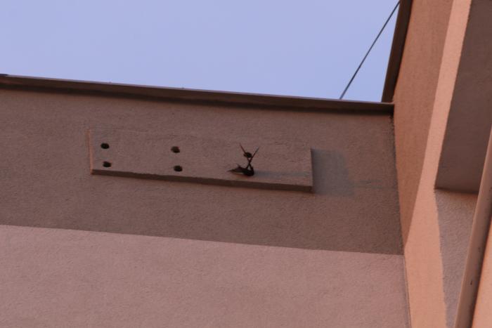 6-komorová búdka pre dážďovníkov (64€)