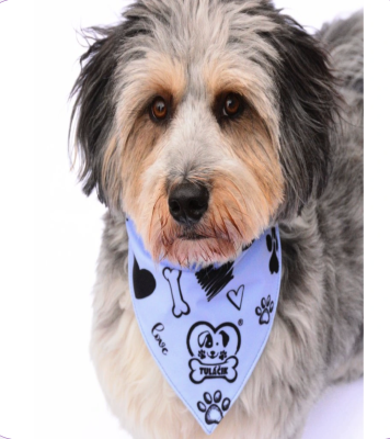 Originálna šatka - pre každý obojok štvornohého kamaráta (BLUE)