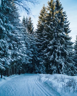 Upravené bežecké trate počas celej sezóny