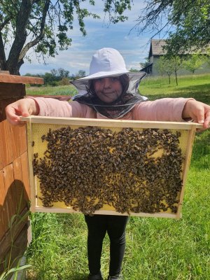 Adoptuj si svoj včelí úľ so včielkami, staneš sa na jeden deň včelárom