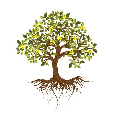 Symbolický strom vysadený v mene podporovateľa