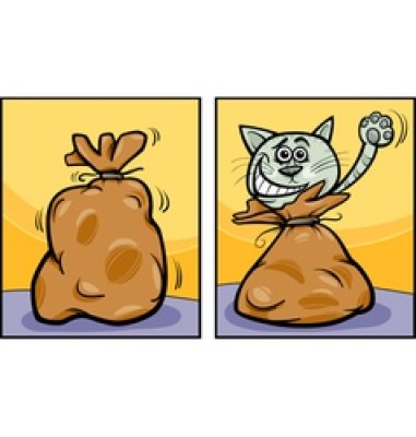 Mačka vo vreci