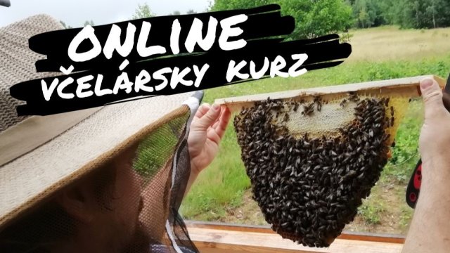 Online včelársky kurz
