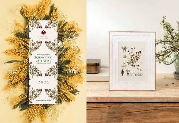 1x Botanický kalendár ✿ 1x Botanická ilustrácia z kalendára podľa vlastného výberu.