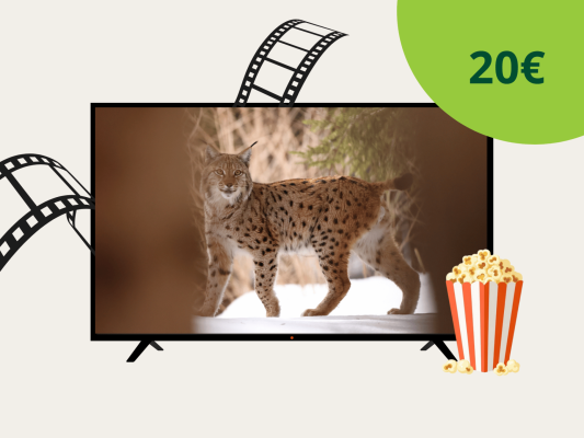 Link na krátky film Divočina v obývačke