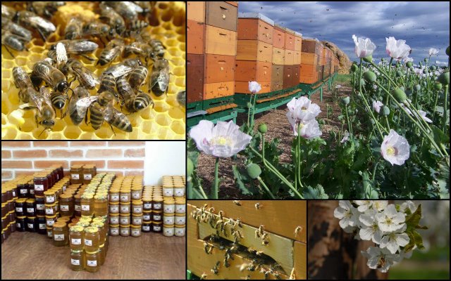 Balík včelích produktov