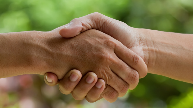 Oficiálny partner