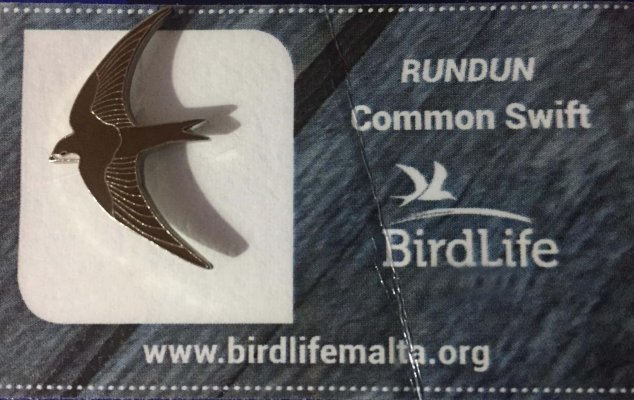 Odznak dážďovníka