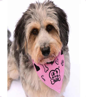 Originálna šatka - pre každý obojok štvornohého kamaráta (PINK)