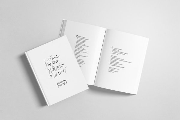 V tú noc som spal postojačky a hladný