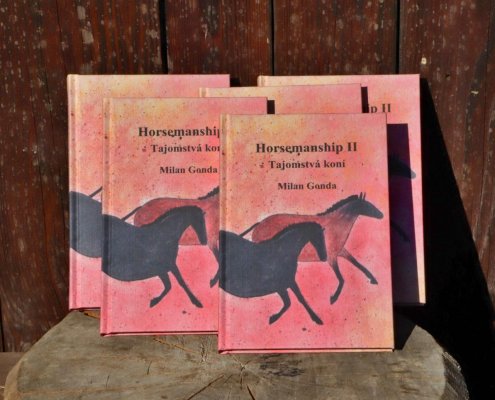 Kniha: Tajomstvá koní