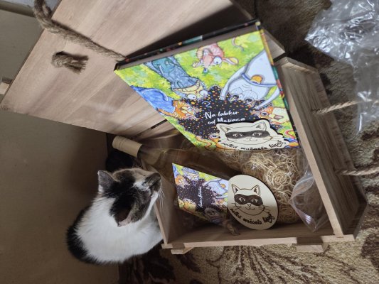 Hľadáme krstného rodiča knihy