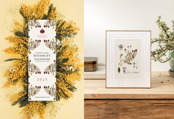 1x Botanický kalendár ✿ 2x Botanická ilustrácia z kalendára podľa vlastného výberu