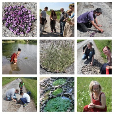 Skupinový landart workshop v prírode