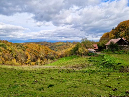Kruh s Krkavcom na Dolinke