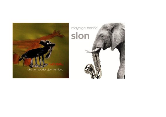 Knižka Ako slon spadol ujovi na hlavu + MP3 Maya gal hanna - Slon 