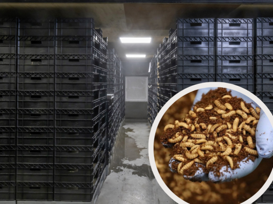 Cirkulárny Workshop na farme - Vyrob si vlastné produkty (pre 2 osoby)