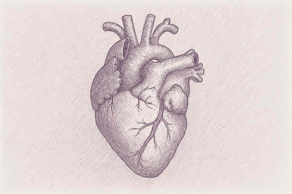 Špeciálne poďakovanie v novom Dezinfomajáku