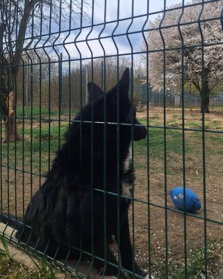 Ešte lepší pocit, ktorý hreje pri srdci