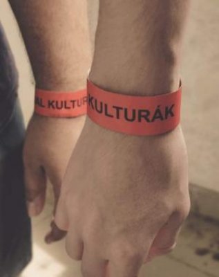 Vstupenka na festival + Festival Kulturák tričko