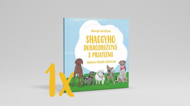 Shaggy a jeho kamaráti - naučme deti, že handicap je len v hlave