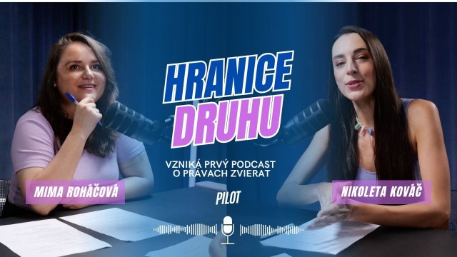 Večera od Mimi a Surovej Dcérky
