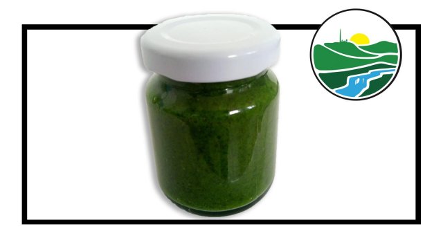 PESTO Z MEDVEDIEHO CESNAKU