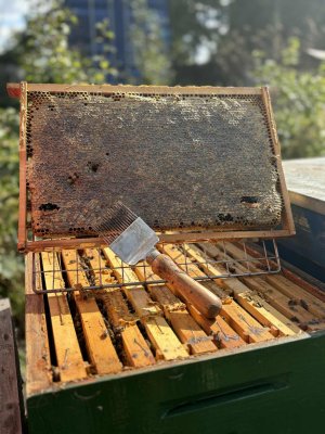 POUKAZ: Zážitková exkurzia v BeeBoxe (Nitra)