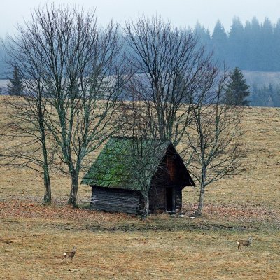 Zachráň senník a prilož aj ruku k dielu