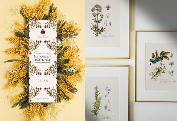 1x Botanický kalendár ✿ 4x Botanická ilustrácia z kalendára podľa vlastného výberu.