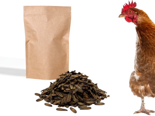 1kg balíček sušených lariev - Zachránil som 2 kg odpadu