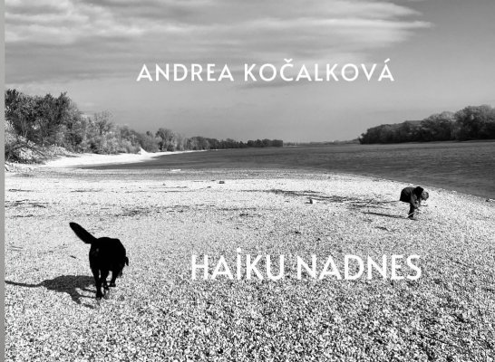 Kniha Haiku nadnes