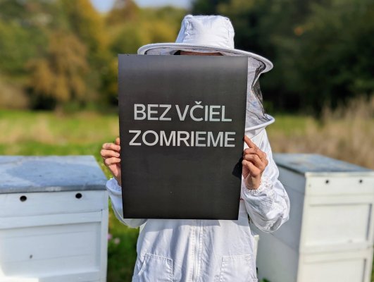 Poster Bez včiel ZOMRIeme