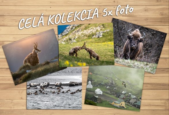 Kolekcia 5 fotografií (13×18cm) Wildlife Europe