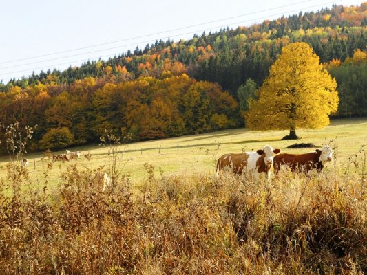 Víkendový zážitkový pobyt - WellBEEing 