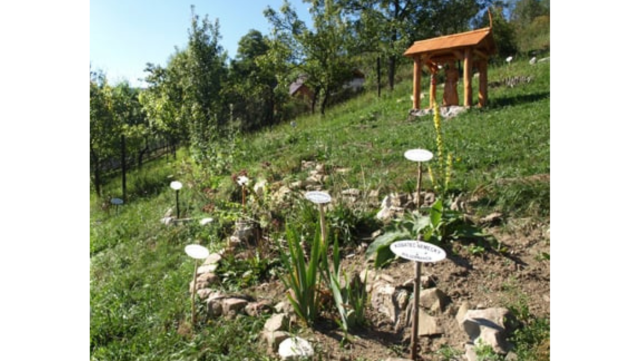 Návšteva bylinkovej záhrady, posedenie pri čaji s odborným výkladom,  hudobné vystúpenie autora  pre vašu skupinu