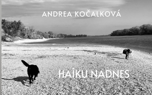 Haiku nadnes - kniha poézie