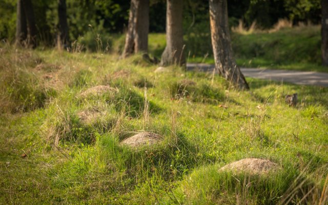 Ak nepomôžeme dnes, zajtra už nebude čo zachraňovať - Lýceum CSL