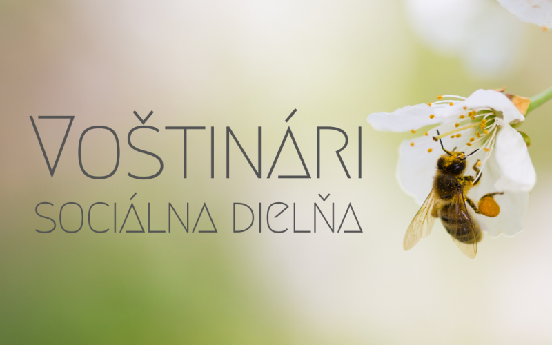 Voštinári: sociálna dielňa