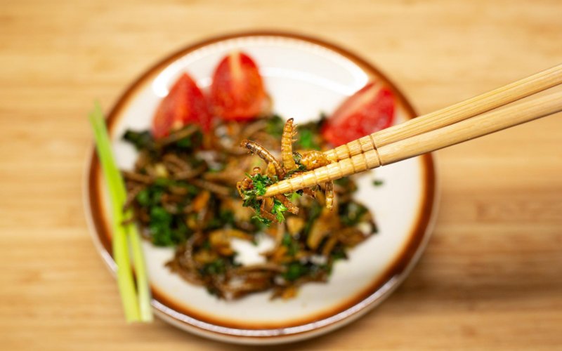 Jedlý hmyz ako udržateľná potravina