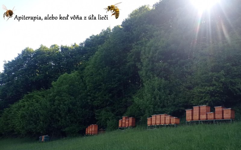 Adoptuj si včielku... pokračovanie
