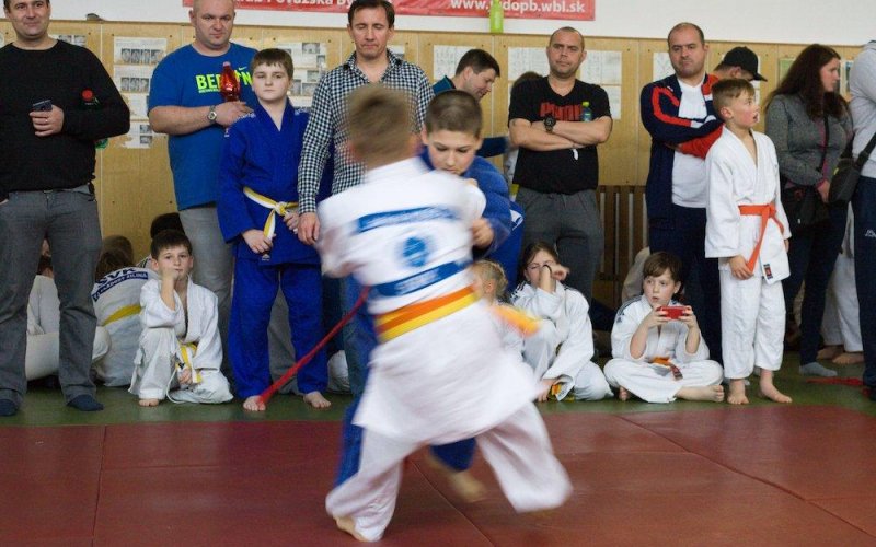 Internetový portál Judo Turnaj