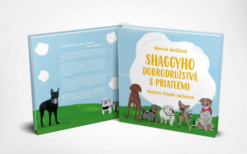 Shaggy a jeho kamaráti - naučme deti, že handicap je len v hlave