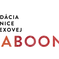 Nadácia Danice Olexovej – Baboon